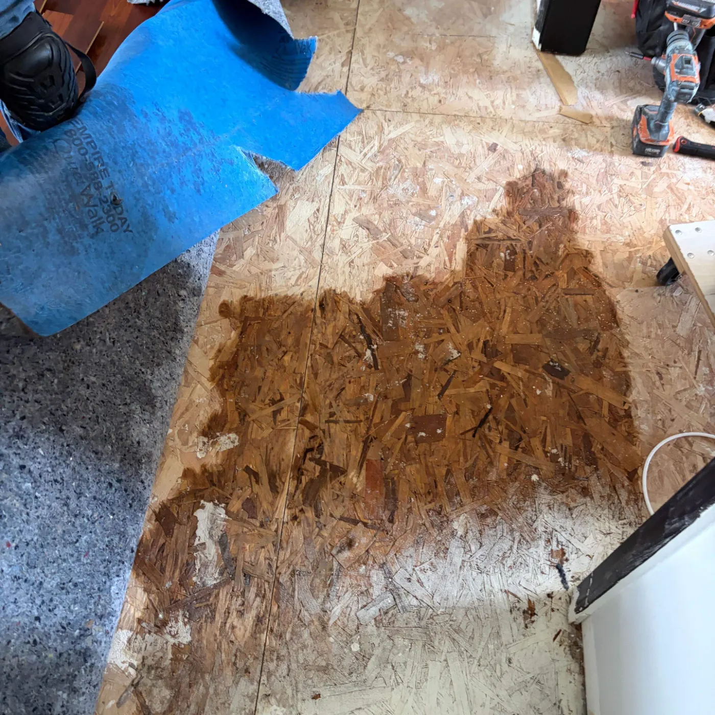 Thermal imaging during water damage assessment in Westwood Park residence