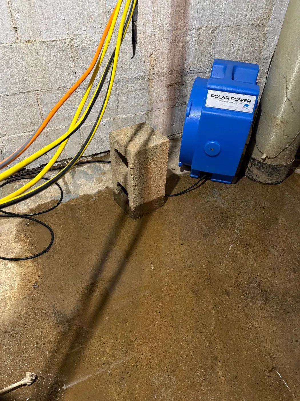 Basement water extraction in Westwood Park Indiana home